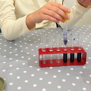 Schnupperstunde: MINT Atelier (8–11 Jahre)